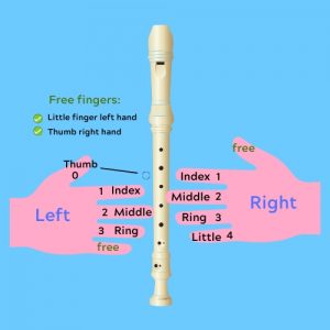 🥇How to Play the Recorder🥇 Learn it NOW ! with【SONGS】